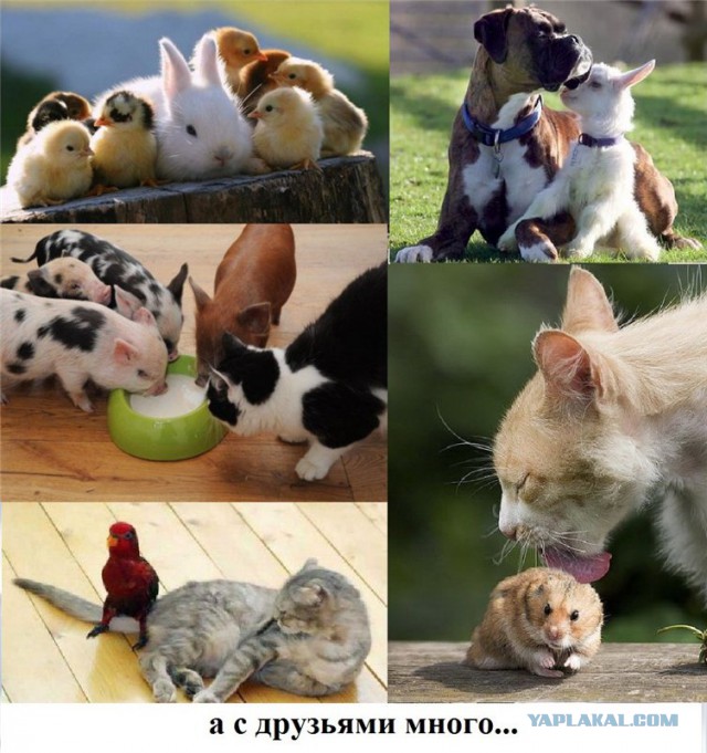 Поднимаем настроение