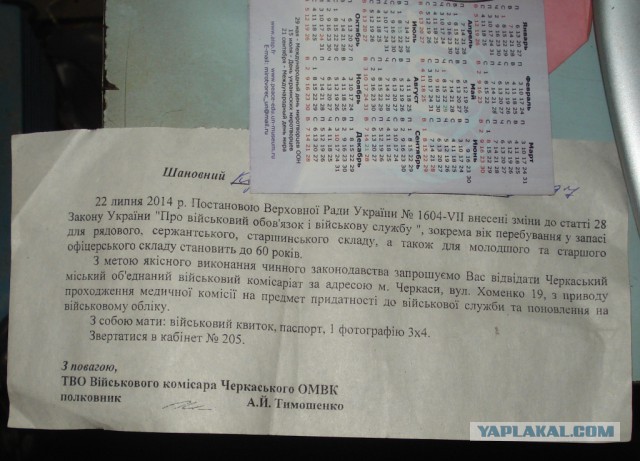 Чеченское лекарство для Киева