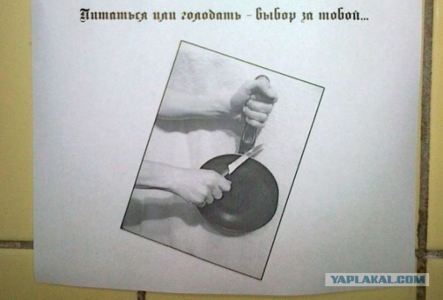 А у вас в общежитии так же было ?