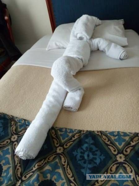 Картинки из инета