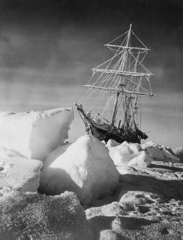 История выживания среди льдов Антарктики
