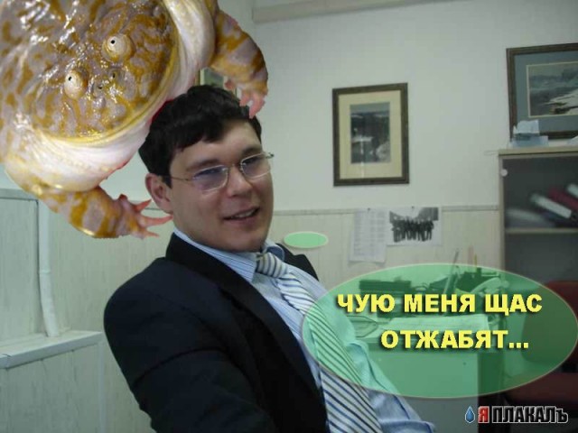 Месье Юрист!
