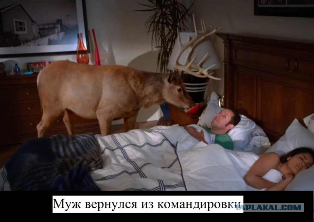 Будьте внимательны, отправляя СМС