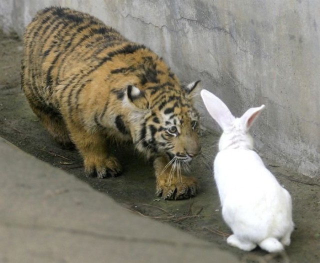 Улыбнись и расслабься