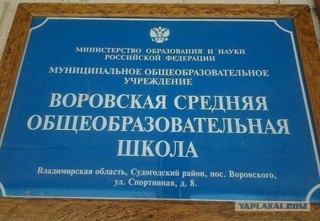 Подборка интересных и веселых картинок
