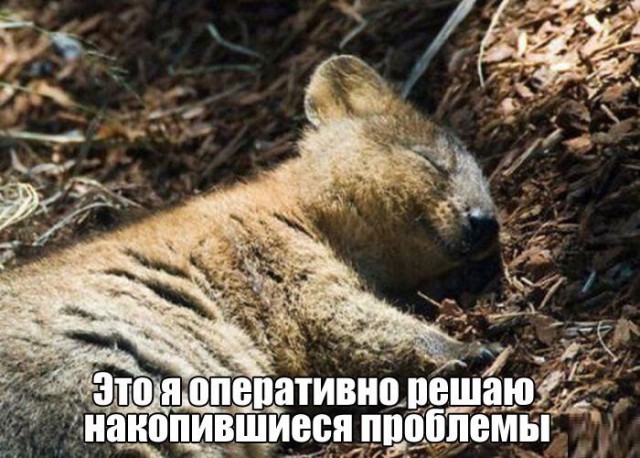 Картинки с надписями