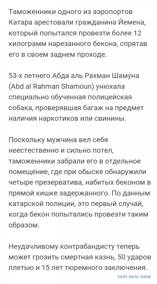 В Катаре задержали мужчину за контрабанду бекона в заднем проходе