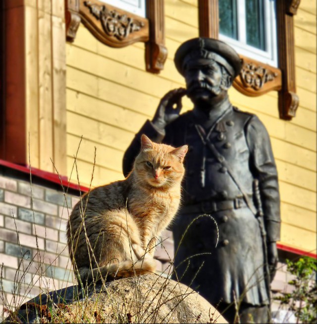Подборка "тёплых уютных домашних" фотографий, часть 6