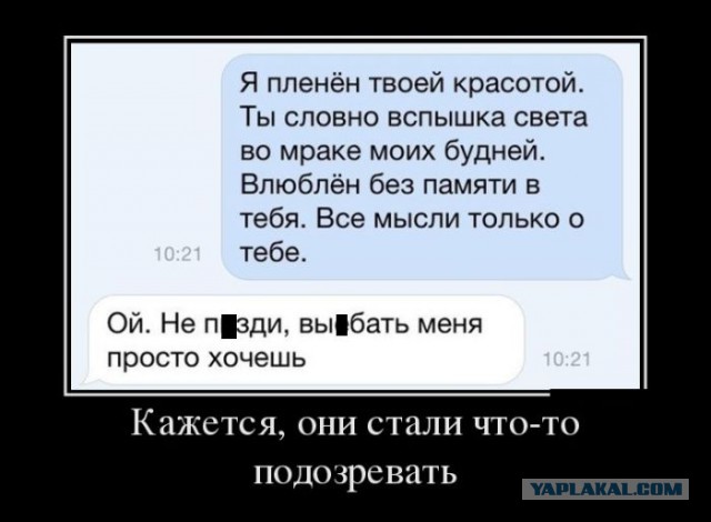 Картинки в черной рамке