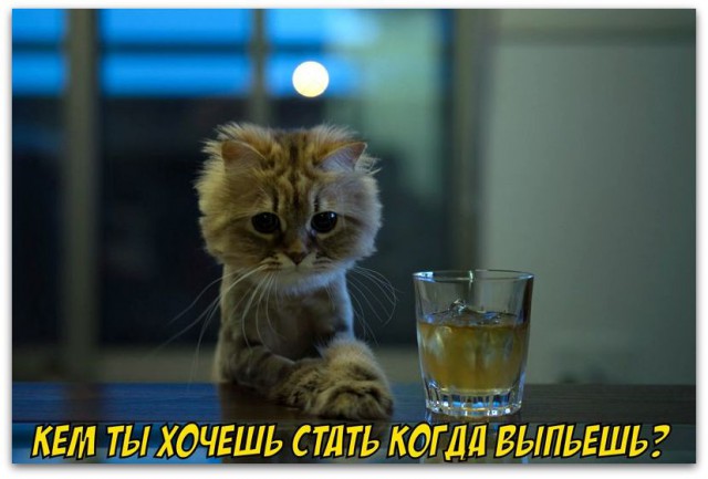 10 полезных свойств водки, которые действительно работают