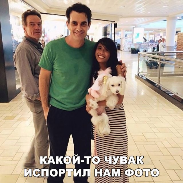 150 картинок для поднятия настроения!