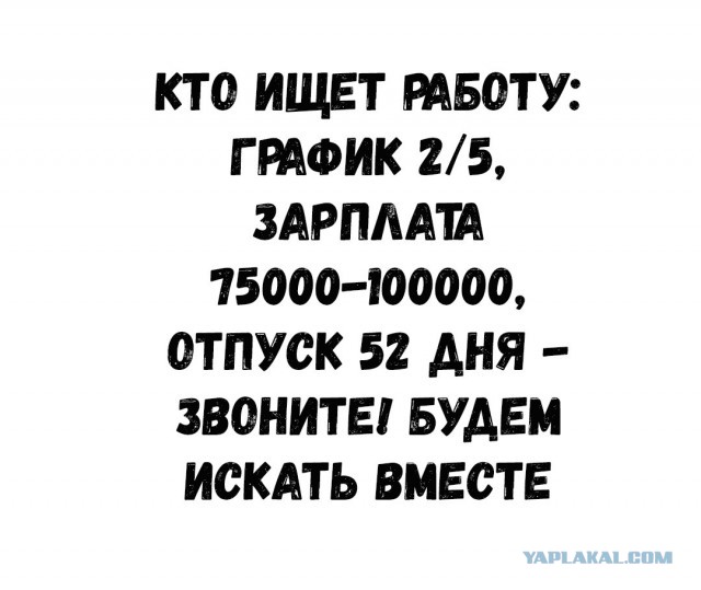 Чернь и деградация к выходным