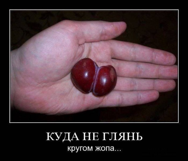 *опа, с которой я сталкиваюсь каждый день