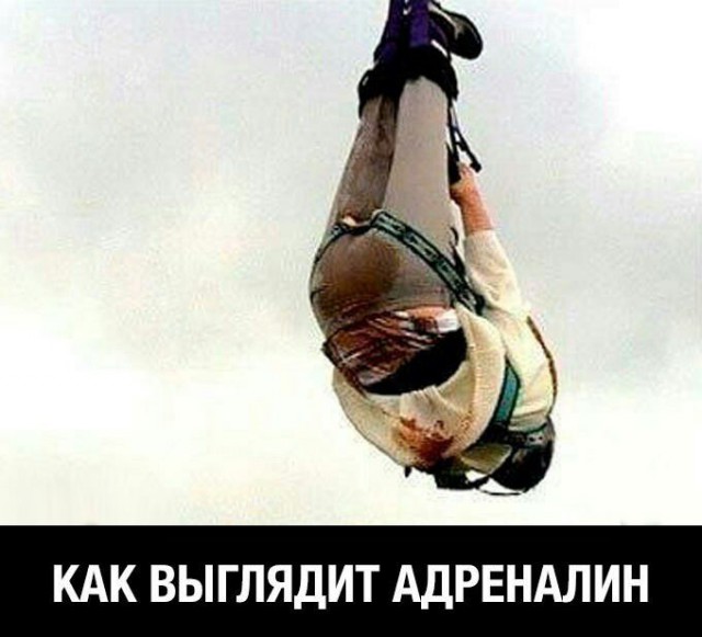 Подборка различных картинок