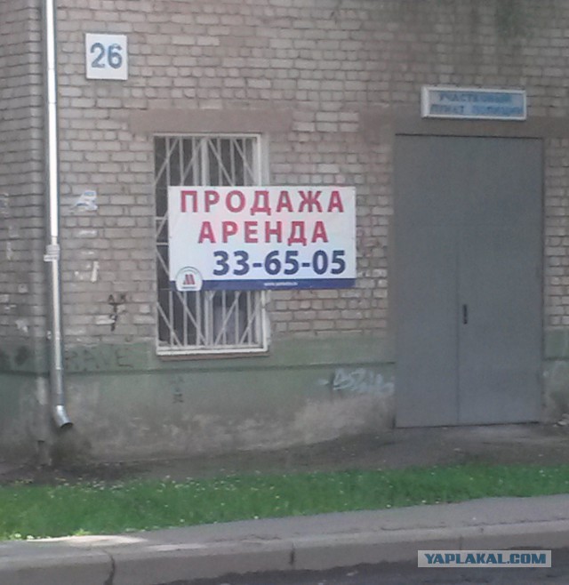 Картинки по-приколу