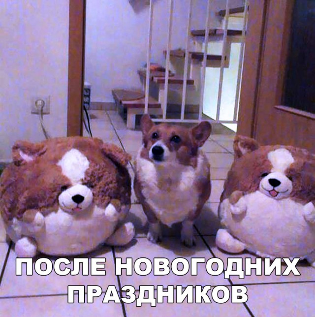 Прикольные картинки абавсём