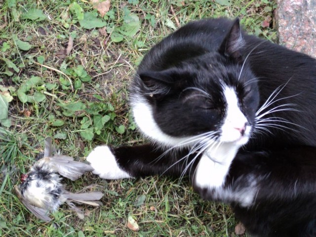 Руки убери, ок?