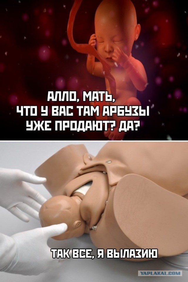 Прикольные комментарии и высказывания из Сети