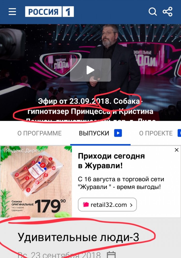 Не смотрите им в глаза! Гипнотизирующие собаки на федеральном ТВ