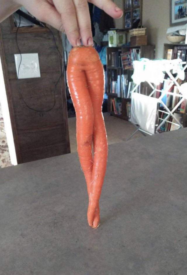Субботняя фотоподборка