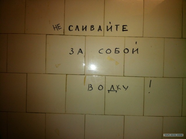 Лучшая закуска к водке!