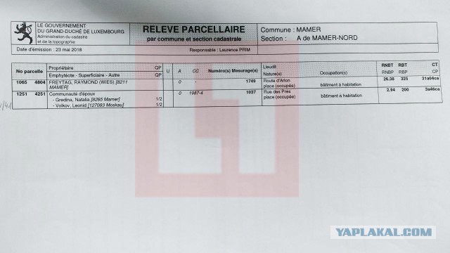 Трое неизвестных напали на Навального: обсыпали его мукой и облили молоком