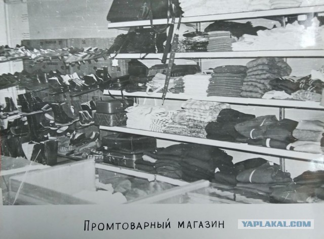 1985 – за год до трагедии