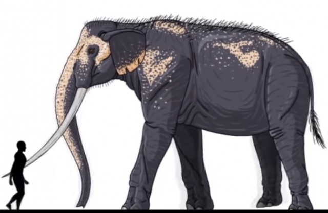 Какого размера были доисторические существа: устрашающие сравнения 20 вымерших животных с человеком