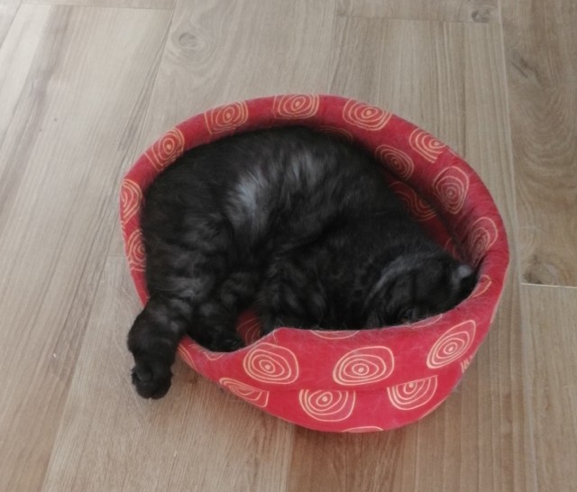 Новогодние красотки