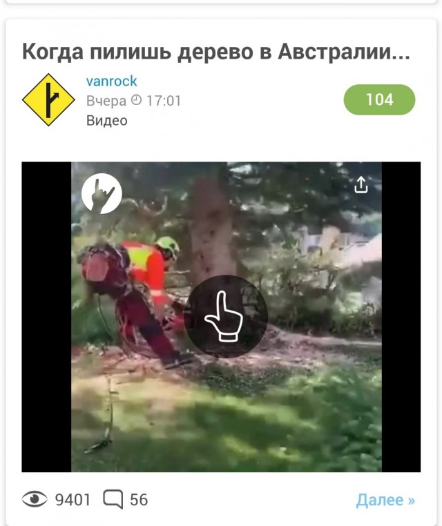 Когда пилишь дерево в Австралии...