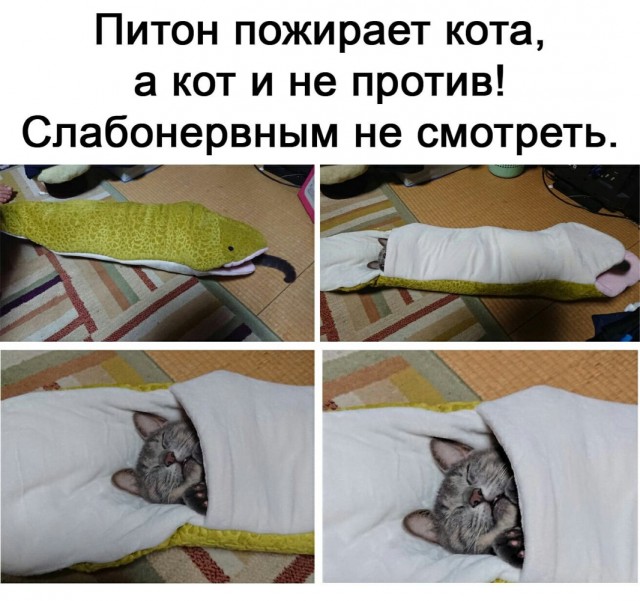 Всё равно хорошо