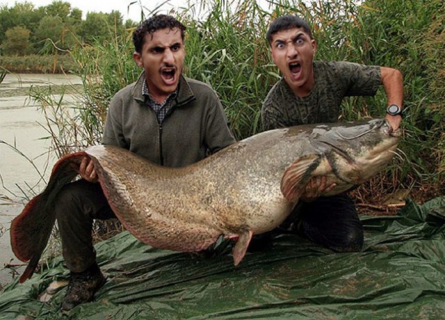 Фотожаба: AAAAAA!