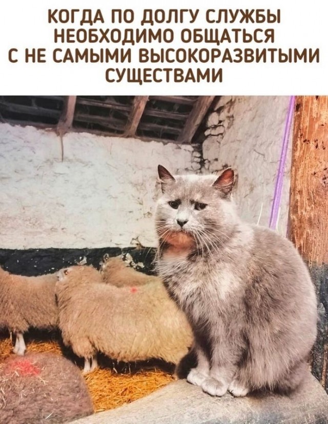 35 картинок разных 29.07.2021