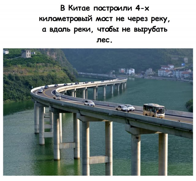 Так себе картинки 22.10.21