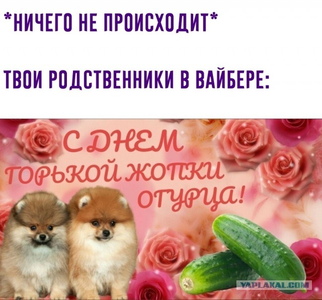 О  женской подлости. Цинизм и расчёт