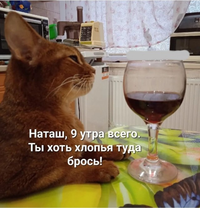 Чуток картинок 30.12.21