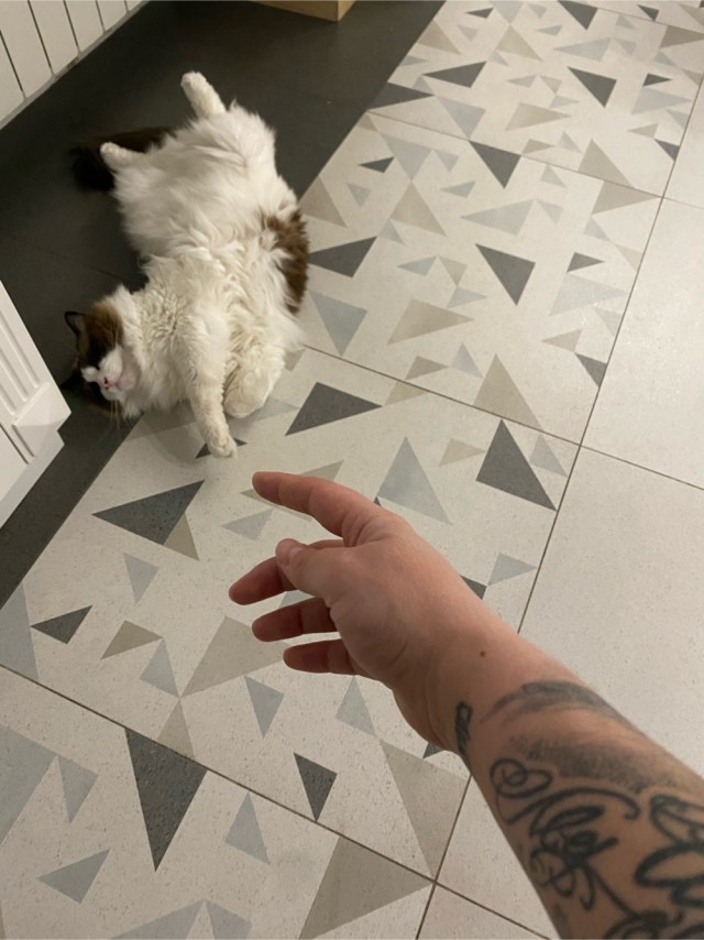 Ну, поехали в котоввторник!