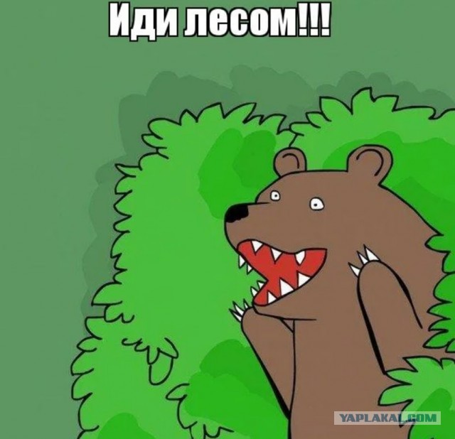 Российского режиссера похитили и заставили копать себе могилу в лесу под Питером