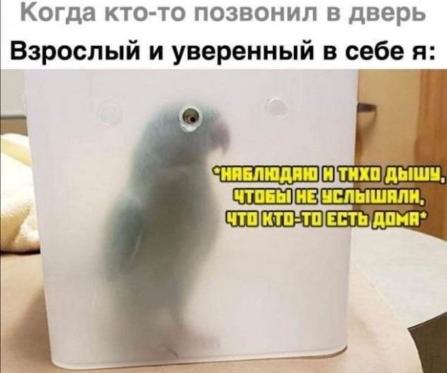 Так себе картинки 07.11.22