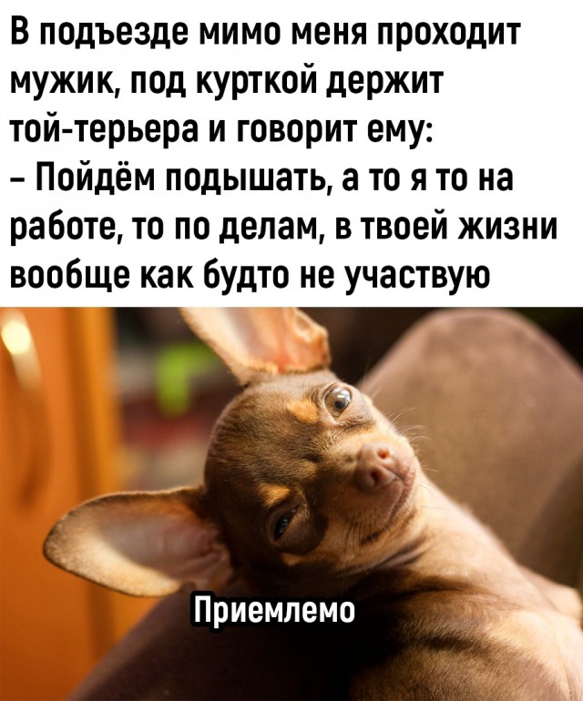 Так себе картинки 24.12.22