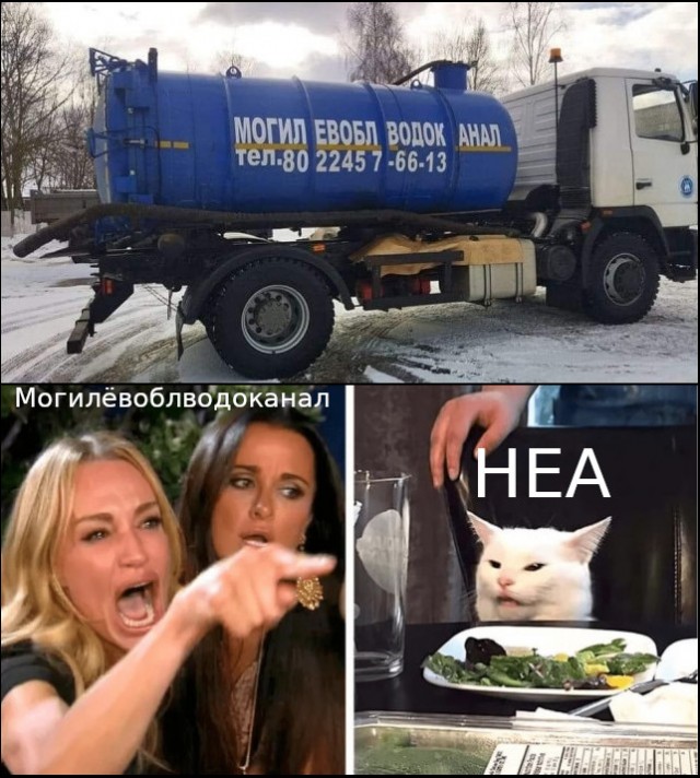 Две женщины орут на кота