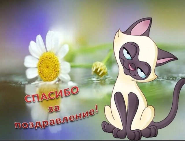 Победная поступь идиотизма по планете – том 14