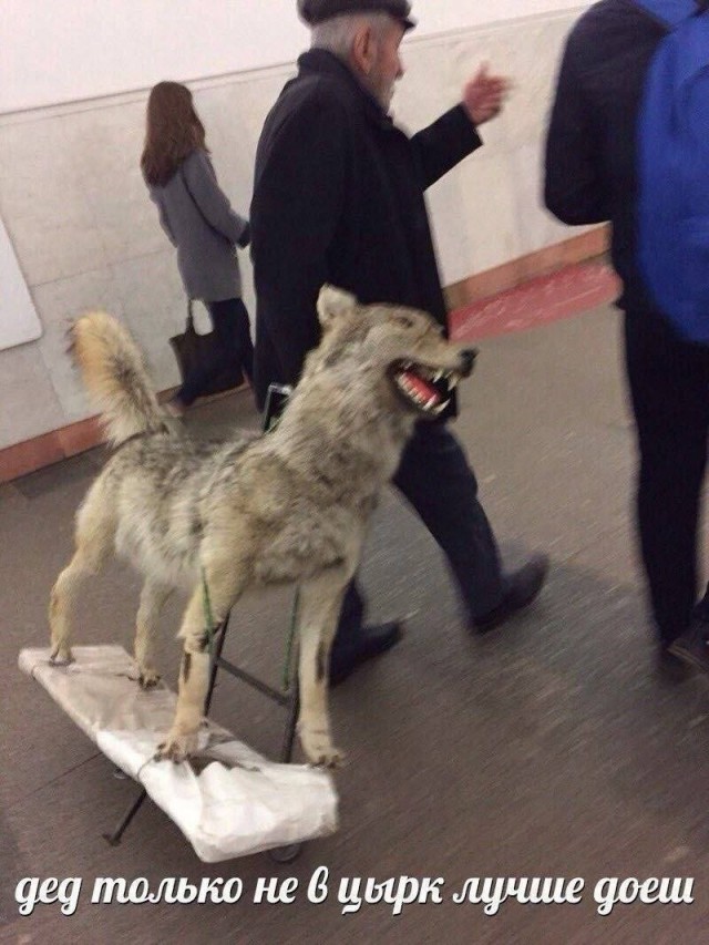 Всего понемногу 24.05