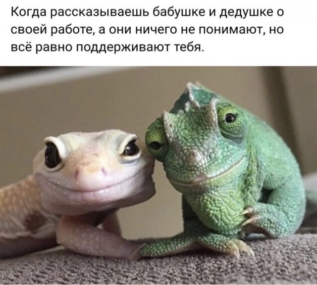 Весёлый полтишок 20.09.23