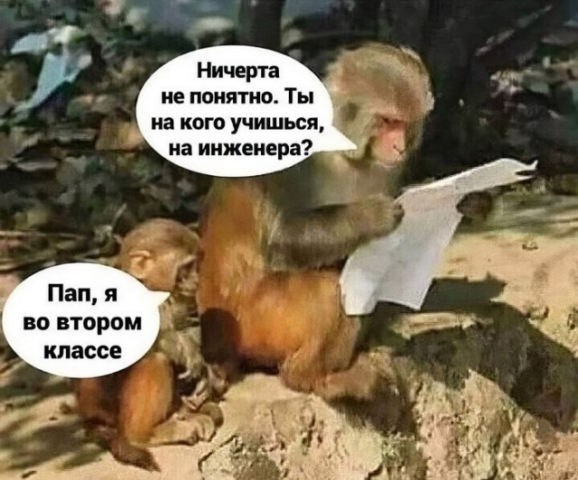Мемы для самых умных