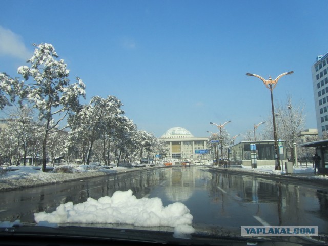 Тем временем в Южной Корее