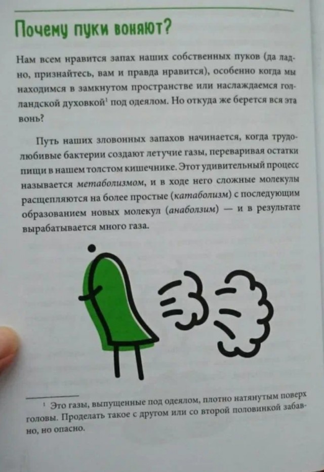 Почему пуки сильно воняют. Почему пук воняет. Сильные пуки причины. Почему вонючий пук. Зеленый вонючий пук у ребенка.