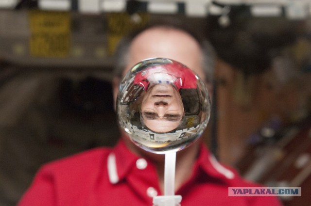 34-я экспедиция на МКС - фотоотчёт