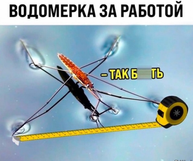 Всего понемногу. От 25.02.24
