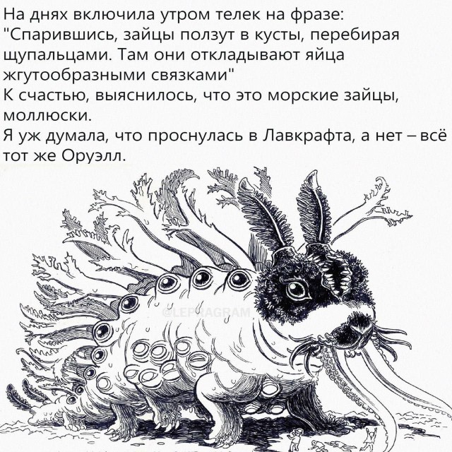 Никакие картинки